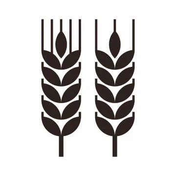 Wheat grain icon Stock Illustration