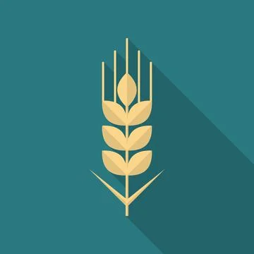 Wheat grain icon with long shadow. Flat design style. Illustrazione stock