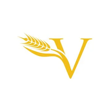 Wheat Grain Initial Letter V Stock Illustration