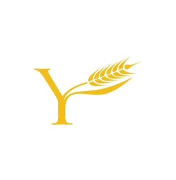 Wheat Grain Initial Letter Y Stock Illustration