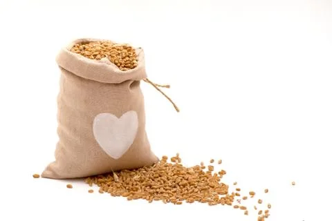 Wheat grain isolated on white background Stock Photos