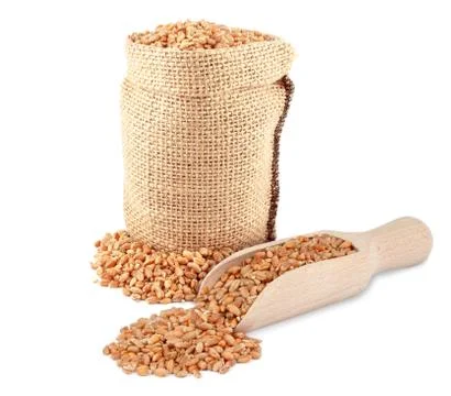 Wheat grain Stock Photos