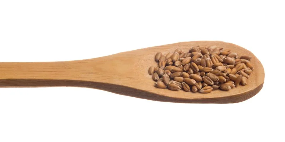 Wheat Grain. Stock Photos