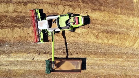 Wheat grain picker harvester processing a large field, Aerial follow view. Stock Footage 131429089