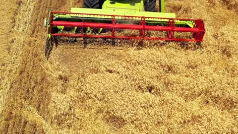 Wheat grain picker harvester processing a large field, Aerial follow view. Stock Footage 131429346