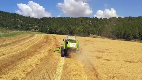 Wheat grain picker harvester processing a large field, Aerial follow view. Stock Footage 131432061