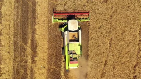 Wheat grain picker harvester processing a large field, Aerial follow view. Stock Footage 131432944