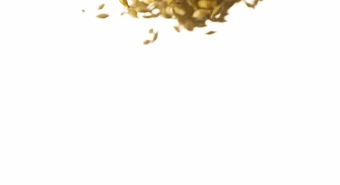 Wheat grain Pouring Falling in Water Slow motion Stock Footage 103644223