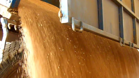 Wheat grain in a silo, slow motion Video stock 25596550