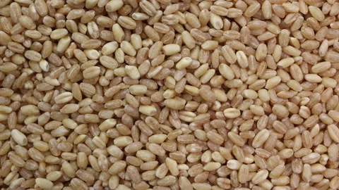 Wheat grain slide glide over motion Stock-Footage 148541788