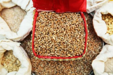 Wheat grain in a square box . wheat in a red box . Stock Photos