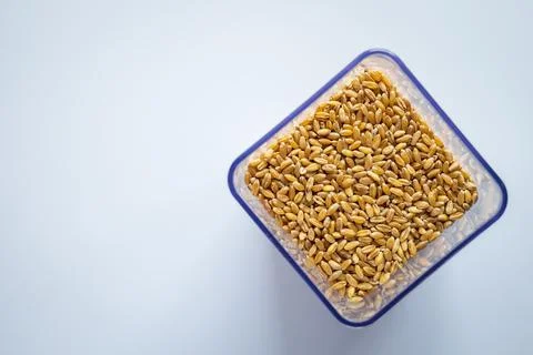 Wheat grain in square storage container overhead view Photos