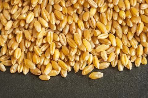 Wheat grain texture background closeup Stock-Fotos