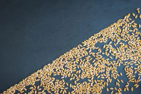 Wheat grain texture background flat overhead view Fotos de archivo