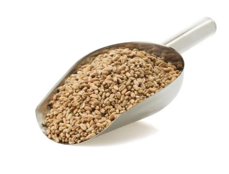 Wheat grain on white Stock Photos