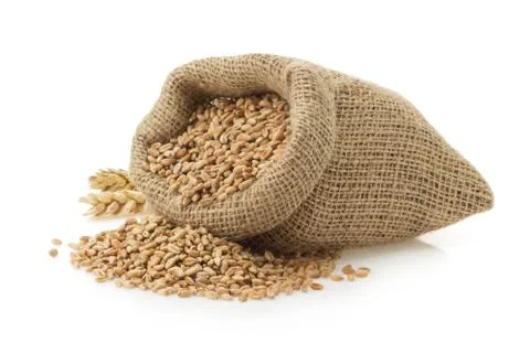 Wheat grain on white Stock Photos