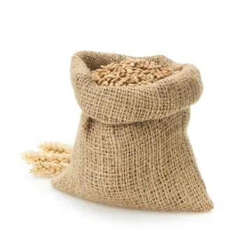 Wheat grain on white Stock Photos