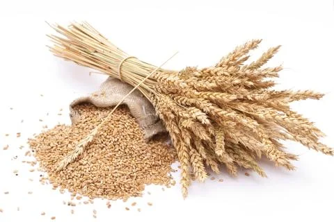 Wheat grains and ears Stock Photos