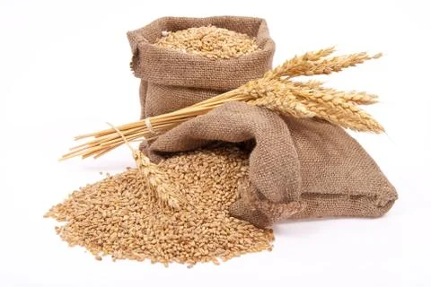 Wheat grains and ears Stock Photos
