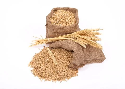 Wheat grains and ears Stock Photos