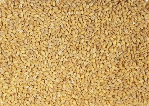 Wheat grains background Stock Photos