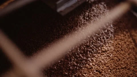 Wheat grains flow into the mill container Video stock 143980642