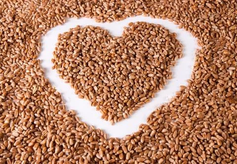 Wheat grains Stock Photos