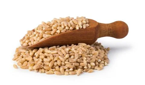 Wheat grains Stock Photos