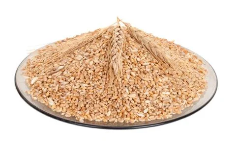 Wheat grains on plate Stock Photos