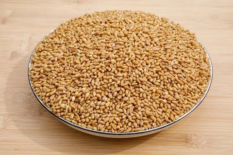 Wheat grains in a plate. Stock Photos