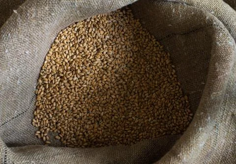 Wheat grains in a sack Stock Photos