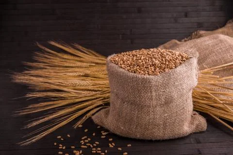 Wheat with grains, a sacking and cones 스톡 사진