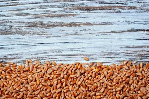 Wheat grains on table Foto stock