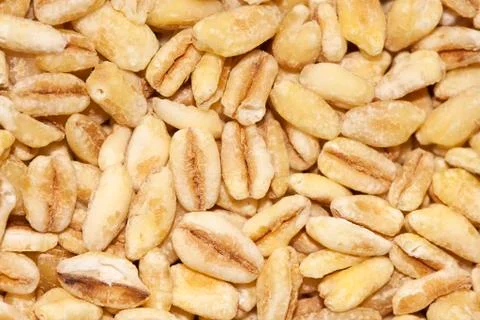 Wheat grains, wheat 스톡 사진