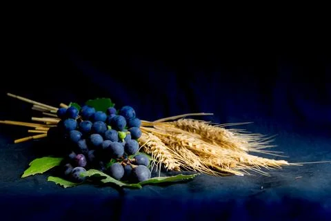 Wheat grapes bread and crown of thorns on black background as a symbol of C.. Stock Photos