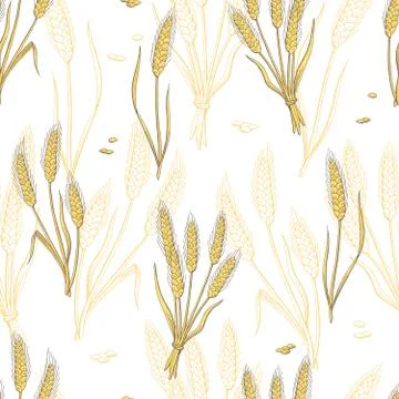 Wheat graphic color seamless pattern sketch illustration vector 스톡 일러스트