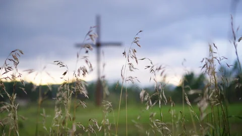 Wheat Grass Blowing in Wind with Cross and Storm Clouds in Background Stock Footage 316084317
