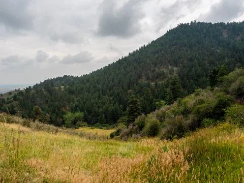 Wheat grass in the foreground of a mountain next to storm clouds. Stock Photos