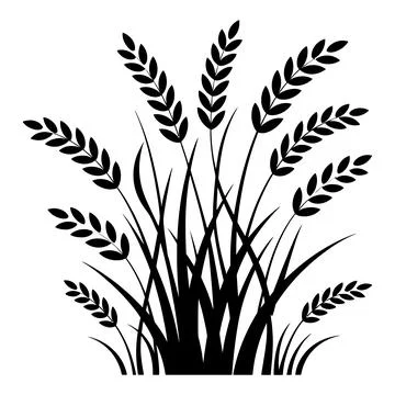 Wheat Grass Silhouette Vector Illustration Isolated Cereal Plant Bundle Stock Illustration