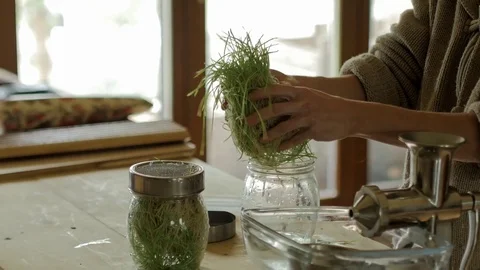 Wheat grass sprouts being prepared to put into juicer in rustic home setting. Stock Footage 71189824