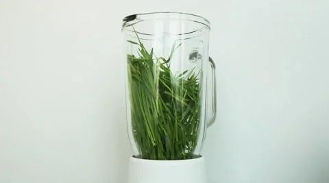 Wheat Green Sprouts in blender, a Raw Food Diet Vídeos de archivo 59643147