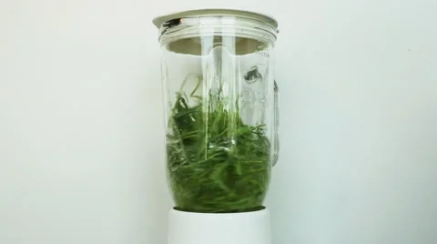 Wheat Green Sprouts in blender, a Raw Food Diet 스톡 동영상 59643566