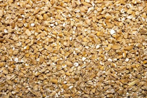 Wheat groats background.The texture is wheat groats. Stock Photos