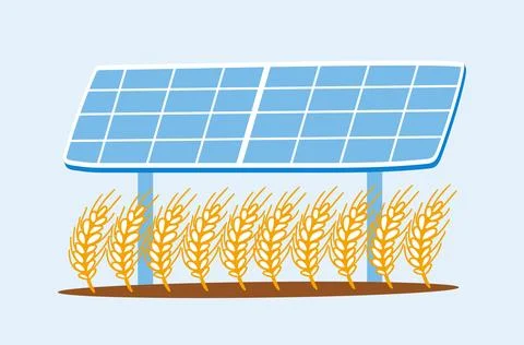 Wheat grows under the solar panel. Vector flat illustration. Stock Illustration