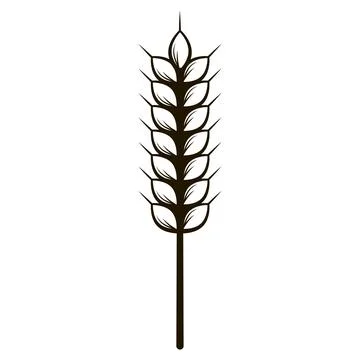 Wheat in hand drawn style Stock Illustration