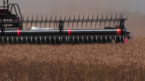 Wheat harvest 2 Stock Footage 23043139
