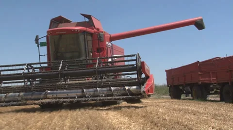 WHEAT HARVEST (3 shots) Stock Footage 39959357