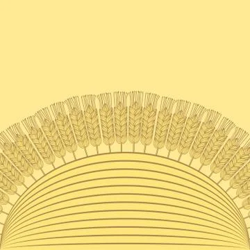 Wheat harvest background Stock Illustration