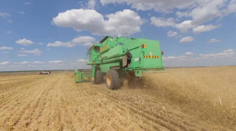 Wheat harvest, closeup, wheat particles and dust Stock Footage 52335281