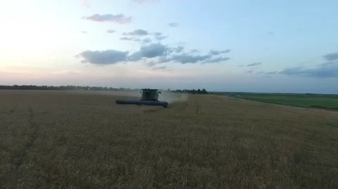 Wheat Harvest Combine Front View  -Drone Stock Footage 65029855